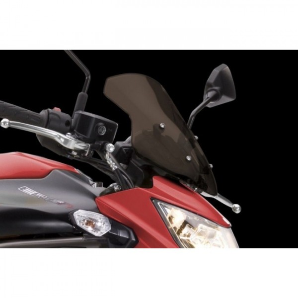 Kawasaki Windshield - smoke